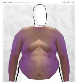 Torso