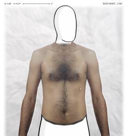 Torso