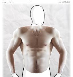 Torso