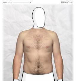 Torso