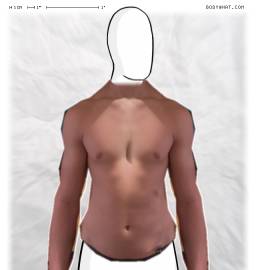 Torso