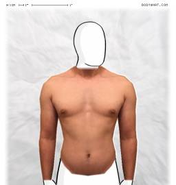 Torso