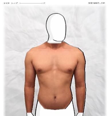 Muscle Morphing