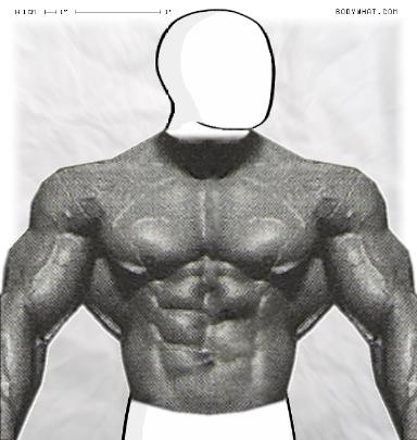 Muscle-ing up