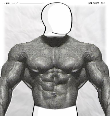 Muscle-ing up