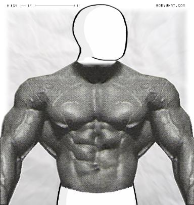 Muscle-ing up