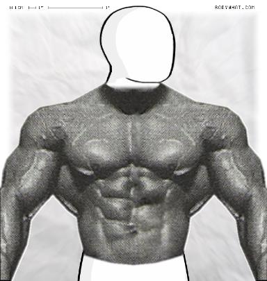 Muscle-ing up