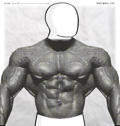 Muscle-ing up