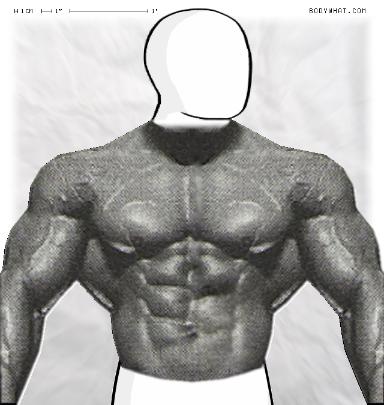 Muscle-ing up
