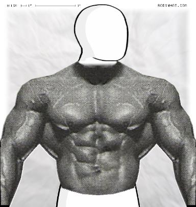 Muscle-ing up