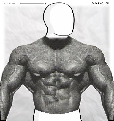 Muscle-ing up