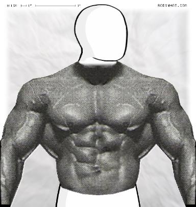 Muscle-ing up