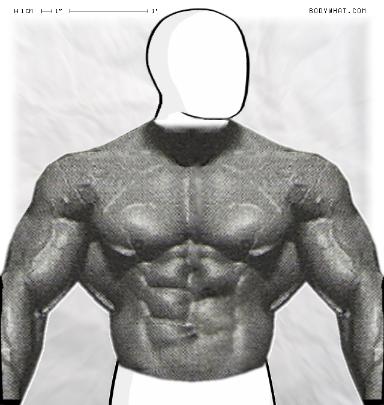 Muscle-ing up