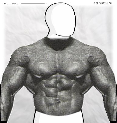 Muscle-ing up