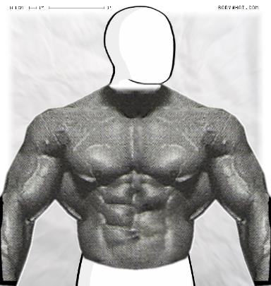 Muscle-ing up
