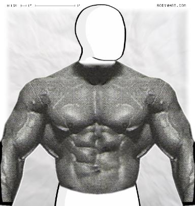 Muscle-ing up