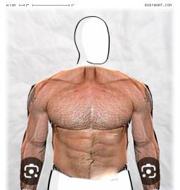 Torso