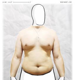 Torso