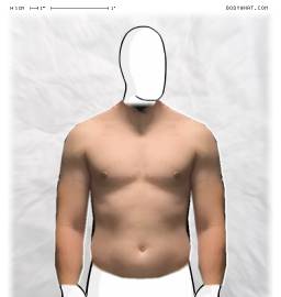 Torso