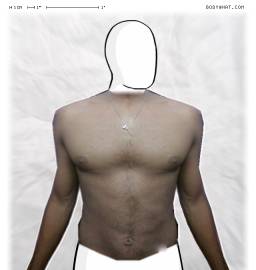 Torso