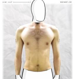 Torso