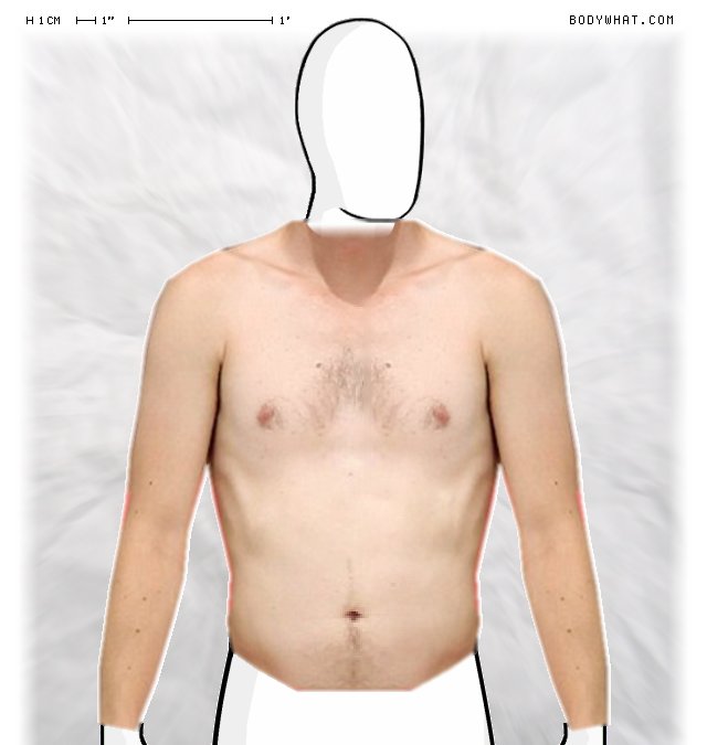 Picture 1