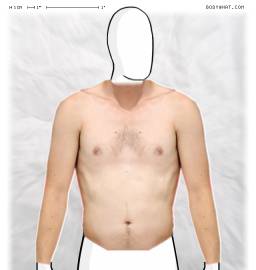 Torso