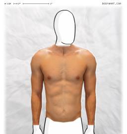Torso