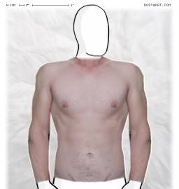 Torso