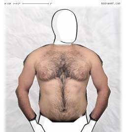 Torso