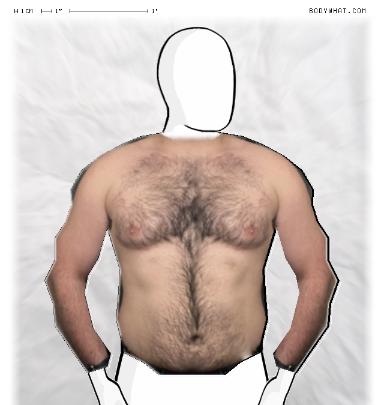 Muscle Morphing