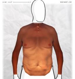 Torso