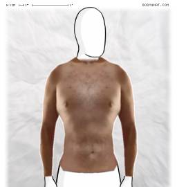 Torso