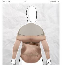 Torso