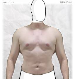 Torso
