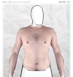 Torso