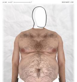 Torso