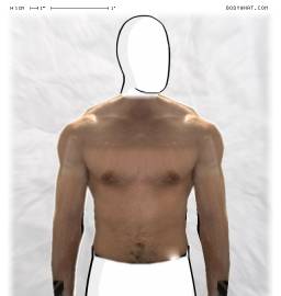 Torso