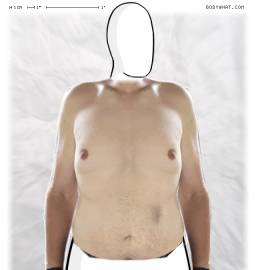 Torso