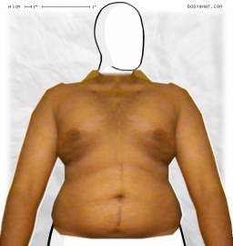 Torso