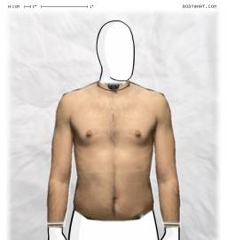 Torso