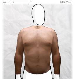Torso