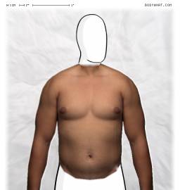 Torso