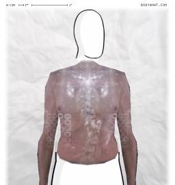 Torso