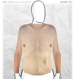 Torso