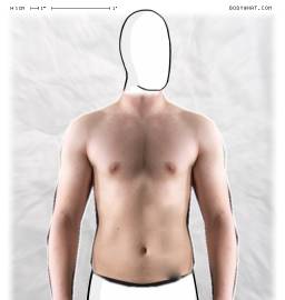 Torso