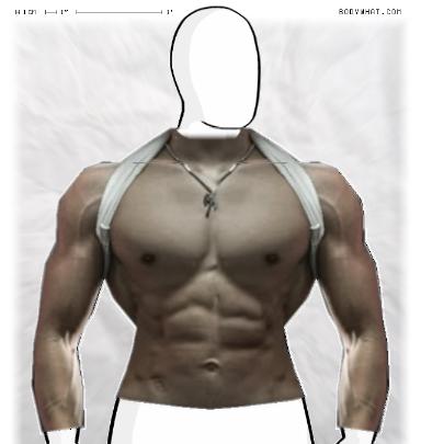 Muscle Morphing
