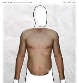 Torso