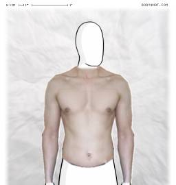 Torso