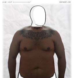 Torso